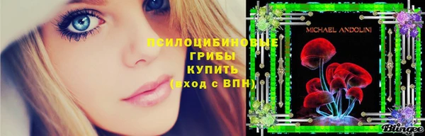 гидропоника Алзамай