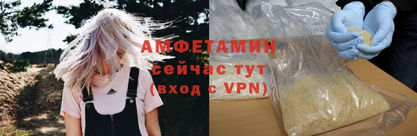 индика Арсеньев