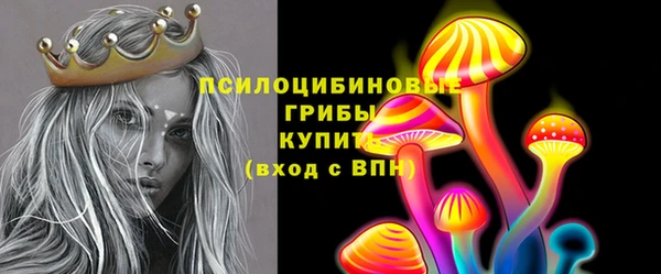 гидропоника Алзамай