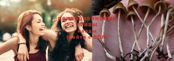 гидропоника Алзамай