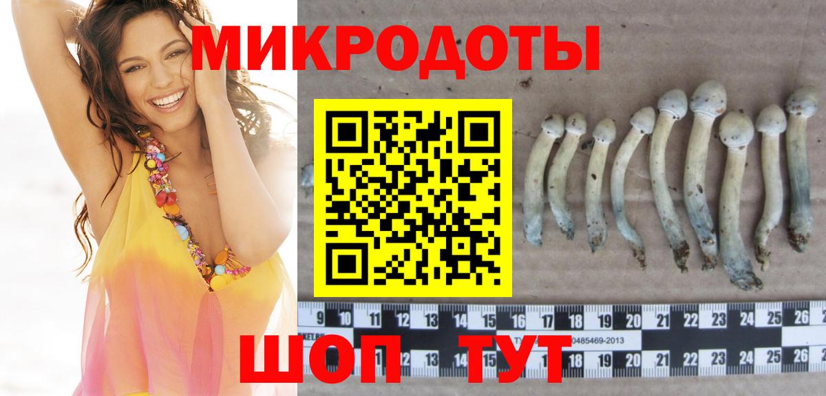 Михайловск  Галлюциногенные грибы Cubensis  Вход с VPN  Псилоцибиновые грибы мицелий 